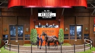 【セレクトセール2026】2日間の総売上は334億8400万円で歴代最高 当歳セッション最高額は4億1000万円
