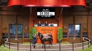 【セレクトセール2026】キタサンブラック×仏重賞馬に2億円…里見治氏が良血牡馬を落札