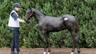 【セレクトセール2026】重賞2勝馬アートハウスの仔1億4000万円…前田幸治氏がコントレイル産駒を落札