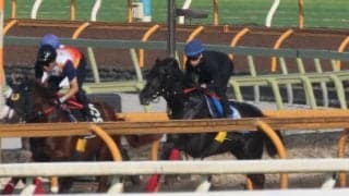 ミラージュナイト、札幌日経賞1週前追い切り速報/栗東トレセンニュース