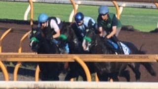 エルトンバローズ、関屋記念1週前追い切り速報/栗東トレセンニュース