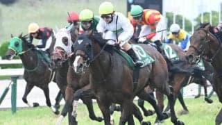 【関屋記念想定】エルトンバローズ、サンダーストラックなど14頭