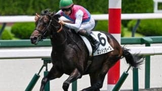 【函館2歳S】前川恭子調教師が重賞初制覇なるか デビュー戦圧勝のロンドンガーズで挑む