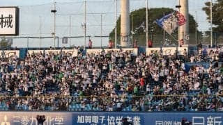 日本で驚き「出会ったことがない」　神宮ビジター席へ…米国人が見た巨人ファンの行動