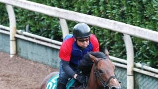 【１８日の注目・小倉９Ｒ】西郷隆盛ＶＳ大久保利通に地方からも“大物”参戦！　維新の三傑にちなんだ九州産馬が令和に激突