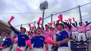 【高校野球】日大鶴ケ丘メッセージ入りＴシャツで応援「少しでも長くこのチームで…」／西東京