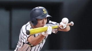 【高校野球】白樺学園、３年連続決勝進出　亀田監督「ここまで来られるとは…」／北北海道
