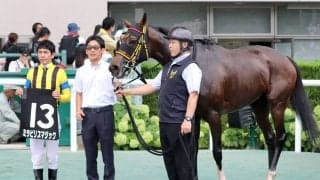 【福島１１Ｒ・阿武隈Ｓ】良血ミラビリスマジックが直線一気でオープン入り！　戸崎圭太騎手「平坦がいいみたい」