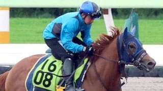 【函館２歳Ｓ・土曜気配】渋った馬場を味方に台頭するのはこの馬！　高橋一調教師も「期待したい」と一発狙うクロリス