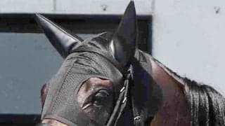 【１９日の注目・函館９Ｒ】２戦ともに持ったまま！　大器モンローウォークが無傷３連勝で第２のファインモーションへ突き進む