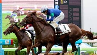 【函館１Ｒ・２歳未勝利】単勝１・７倍のステラトップガンが外から末脚伸ばす　鮫島克駿騎手「しっかり伸びてくれた」