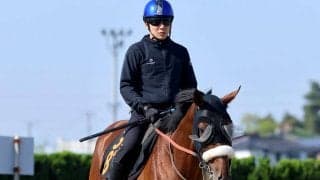 【注目馬動向】青葉賞２着のタイダルロックは新潟で復帰へ　左前脚第一指骨の骨折で日本ダービー断念