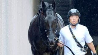 【注目馬動向】クロワデュノールの全弟チャリングクロスは８月３０日の新潟・３勝クラスの日本海Ｓへ