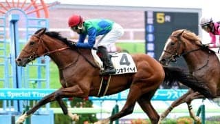 【函館５Ｒ・２歳新馬】急きょ代役の丹内祐次騎手がテンカタイヘイで勝利「調教のＶＴＲを見て走りそうだった」