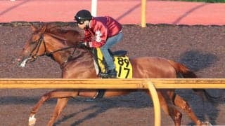 日曜小倉競馬場の注目激走馬…小倉１１Ｒ小倉記念・Ｇ３