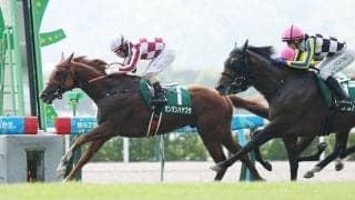 【小倉記念】「本当に頭が上がらない」酒井学騎手が相棒に感謝　１０番人気ゼンダンハヤブサＶで３連単２６万円超！