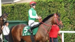 小倉記念で競走中止したエヒトは左後肢ハ行の診断　９歳のベテラン牡馬　今年も重賞で３着好走