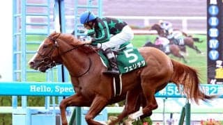 【函館２歳Ｓ】９番人気フェリチタが世代初の重賞ウィナー　初コンビ横山和生騎手「頑張る力は素晴らしい」