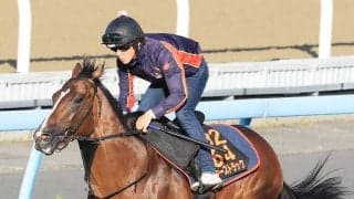 【関屋記念・三戸の特注馬】シンザン記念覇者のサンダーストラック　初の古馬相手で重賞２勝目を狙う