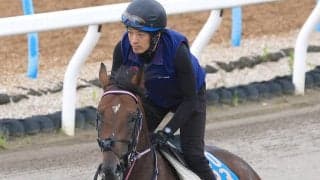 【関屋記念・角田の特注馬】舞台設定はベストのシリウスコルト　週末に雨が降れば重賞２勝目のチャンスだ