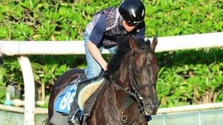 【札幌日経賞・松ケ下の特注馬】良血ミラージュナイトの成長力に期待　高い洋芝適性も心強い