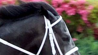 【マーキュリーＣ】武豊騎手騎乗のギュルヴィは３着　鞍上は１９年以来の２勝目は逃す