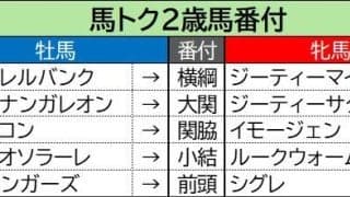 【馬トク２歳馬番付】意外な牝馬が能力指数で異例の数値を算出！　牡馬は好調の新種牡馬エフフォーリア産駒に高評価