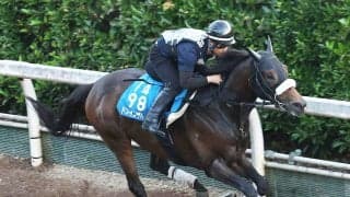 【東海Ｓ】ドンインザムードが前走７馬身差圧勝の再現を　今野調教師「左回りはいいし、中京は問題ない」