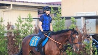 【関屋記念】「素晴らしい馬です」萩原厩舎からの転厩初戦となるダノンセンチュリーを宮田調教師が絶賛