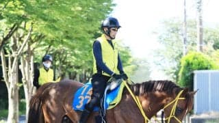 【東海Ｓ】悲願の重賞初制覇へバトルクライの高木調教師「相性の良い原騎手で頑張ってくれれば」
