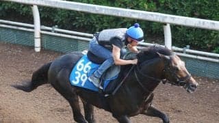 【東海Ｓ】陣営「今後のためにも勝ちたいレース」　安定感抜群インユアパレスが重賞初制覇へ