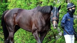 【注目馬動向】５・９億円ホースのエムズビギンは武豊騎手との新コンビで神戸新聞杯に参戦へ