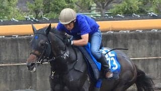 【札幌日経賞】先週小倉記念Ｖの橋田厩舎は良血馬アマキヒがスタンバイ　陣営「勢いに乗れるといいよね（笑）」