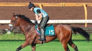 【今週のトク注新馬】乗り込み量十分なサンライズジャポネは札幌の芝で初陣　半兄はサンライズジパング「芝もダートもやれそう」