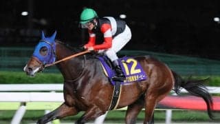 【注目馬動向】砂２冠馬のフィンガーは戸崎圭太騎手とのコンビでパシフィッククラシック・米Ｇ１挑戦が決定