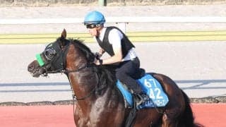 【関屋記念】しらさぎＳで差し切り勝ちのエルトンバローズ　「ああいうレースもできるんだと思った」と陣営も手応え