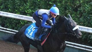 【関屋記念】ブエナオンダは重賞２勝目へ好気配　陣営「１度使っているので、具合はよさそう」