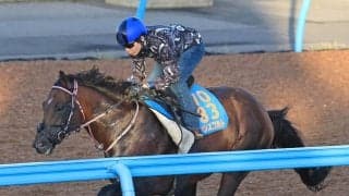 【関屋記念】新潟重賞は好相性のシリウスコルト　田中勝調教師「スムーズに流れに乗れれば」