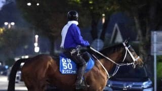 ２３年ＪＢＣクラシック、２４年帝王賞制した７歳キングズソードが現役引退　浅屈腱炎再発で骨折からの復帰断念　今後は検討中
