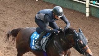 【東海Ｓ】ダノンフィーゴは思わぬアクシデントもあった前走が成長の証し　友道調教師「コーナー４つでも頑張っていた」