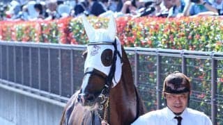 【東海Ｓ】初の重賞挑戦にも「試金石の一戦」と福永調教師　勢い乗るメイショウハチローに期待