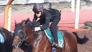 【今週のトク注新馬】ダービー馬ダノンデサイルの半弟・ダノンチャンピオンが中京芝で初陣　安田調教師「大人びています」