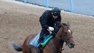 【関屋記念】ダノンセンチュリーはＷコースで軽快な走り　宮田調教師「暑くなったなかでも活気を失わずこれている」