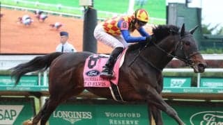 【注目馬動向】米Ｇ１勝ちのテーオーエルビスはＢＣスプリントの前哨戦にコリアスプリントも選択肢　調教師が米国視察へ