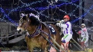 ばんえい競馬の最強王者　メムロボブサップが１年半ぶりに負けた　単勝１・１倍も１１連勝でストップ　キングフェスタが大金星