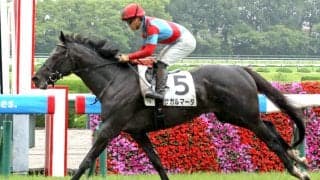 【注目馬動向】５・２億円馬サガルマータは熊野特別で必勝態勢へ　秋は「菊花賞へと思っています」と指揮官