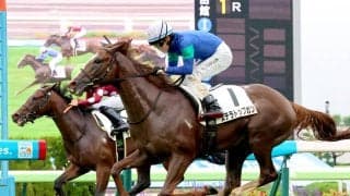 【注目馬動向】ステラトップガンはクローバー賞へ　ひまわり賞制したカエリールークスは報知新聞社杯エーデルワイス賞を視野に