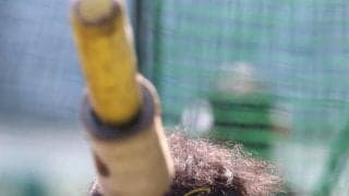 阪神　ＤｅＮＡ・藤浪との初対戦も打線の大幅改造はなし　森下・佐藤輝・大山の最強クリーンアップ　前日サヨナラ打の高寺が「７番・左翼」