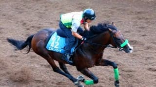 【関屋記念】力強い動き見せたエルトンバローズに杉山晴調教師も手応え　「夏のマイルのチャンピオンになれるように」