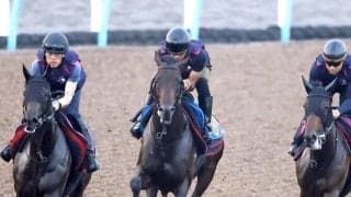 【関屋記念】遅れてきた怪物がついに重賞初挑戦！６戦４勝のアンパドゥに陣営「ここでもやれる馬だと…」
